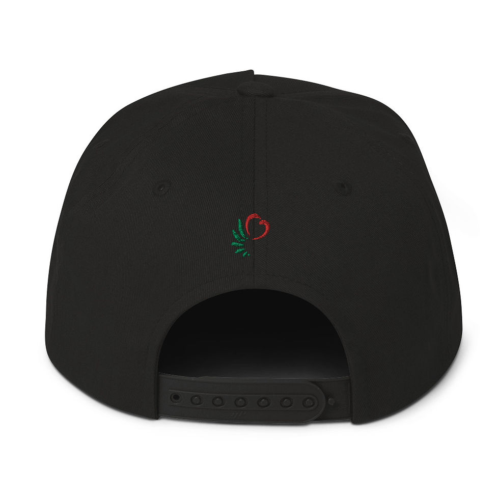 الصورة المصغرة: Snap Back Flat Bill 