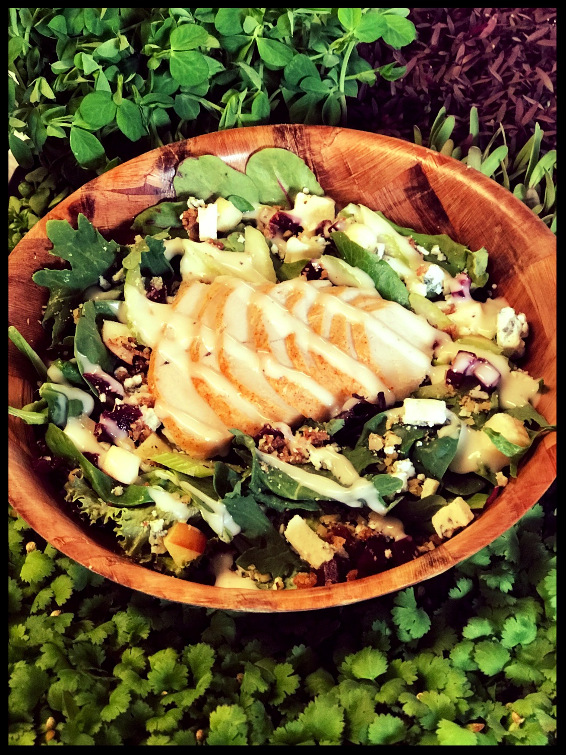 Arranged Food and Objects