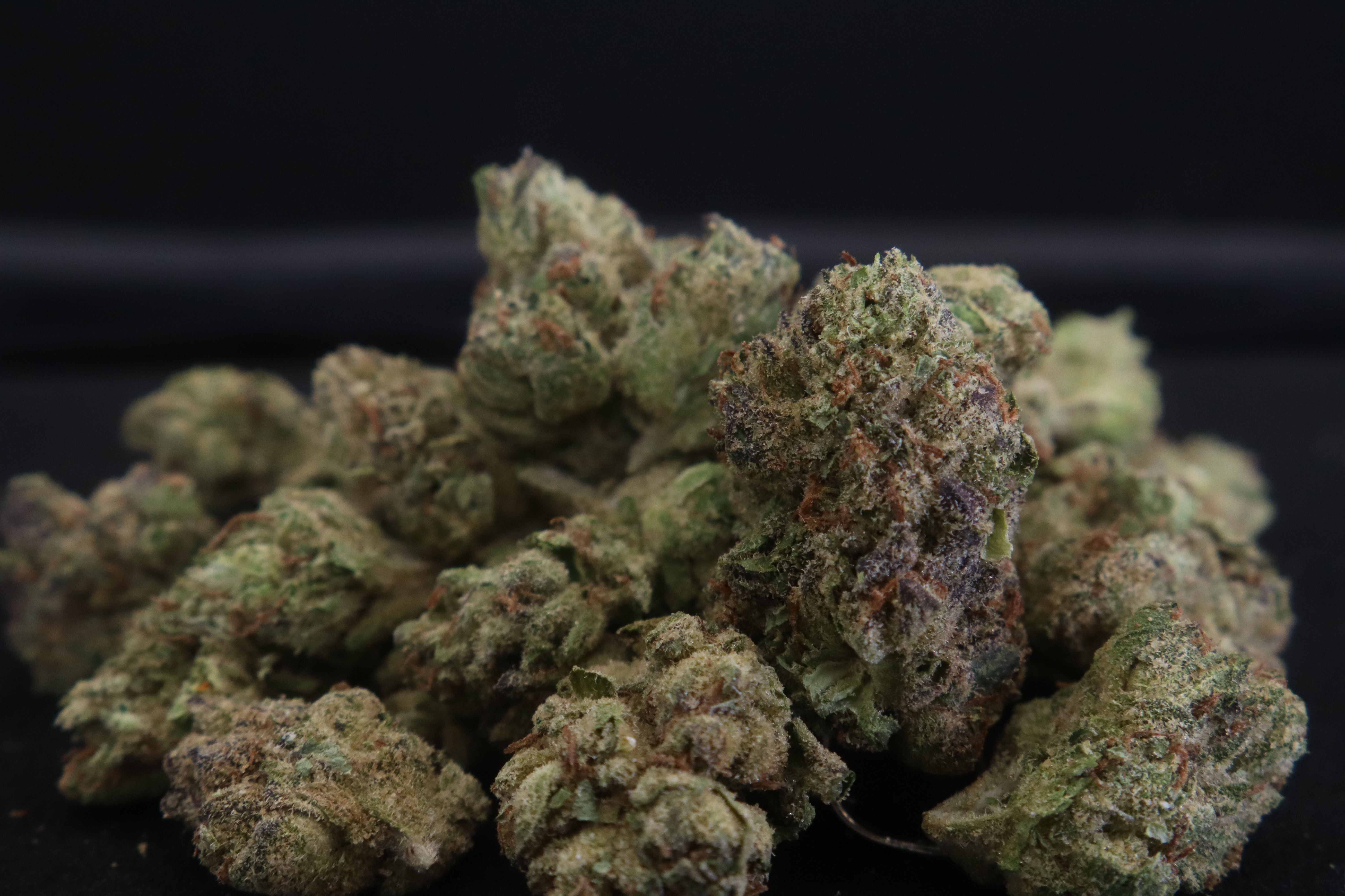 Lemon Apricot (Hybrid)