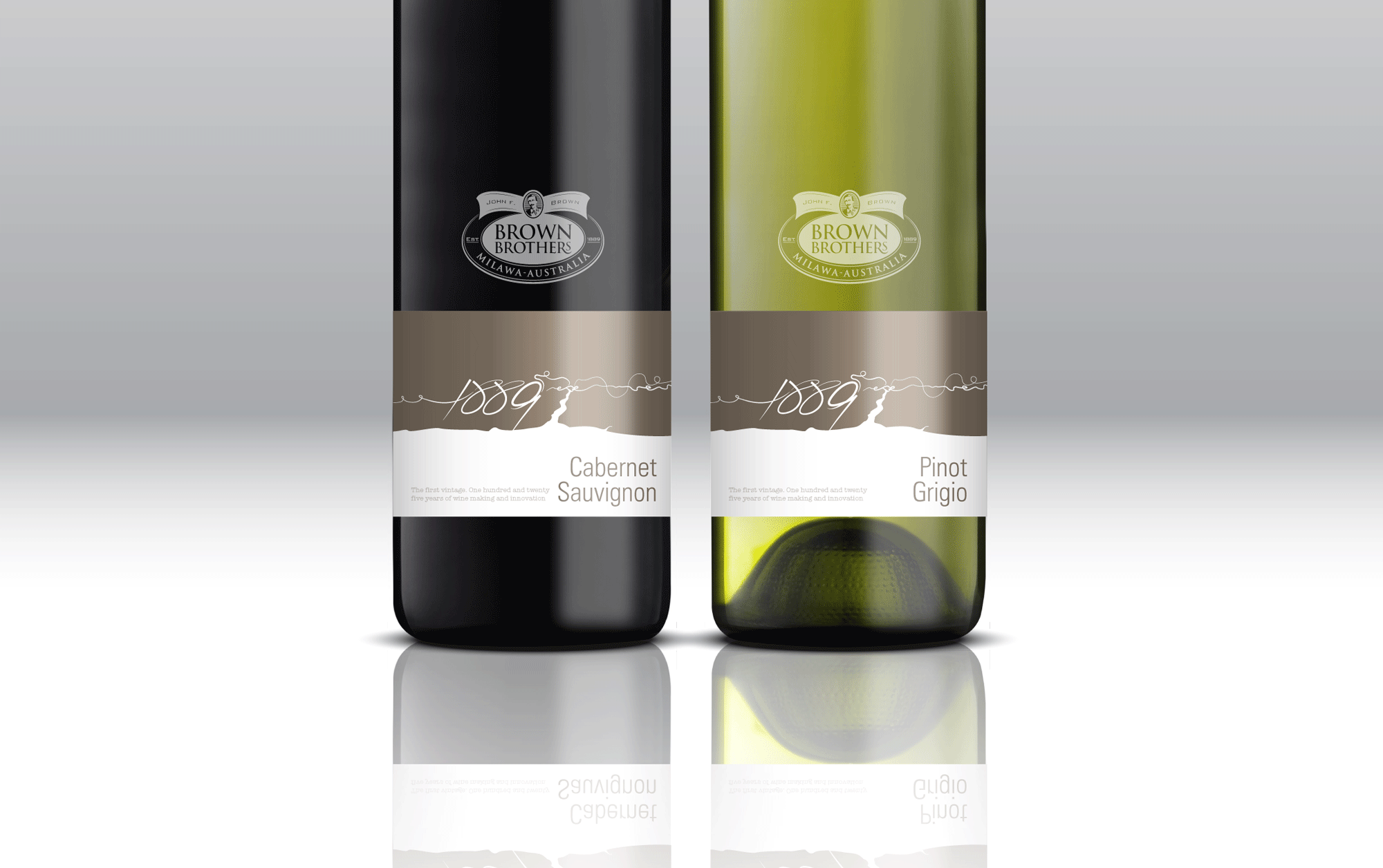 BB-Vine-Scetch-3a