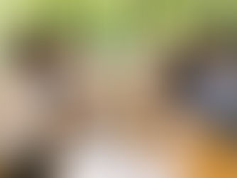 自然光溢れる6人で栄養について語り合う会