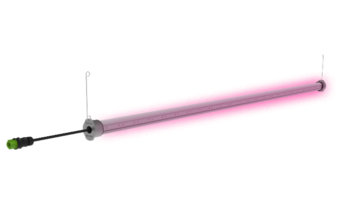 Inter canopy light GLPL.png
