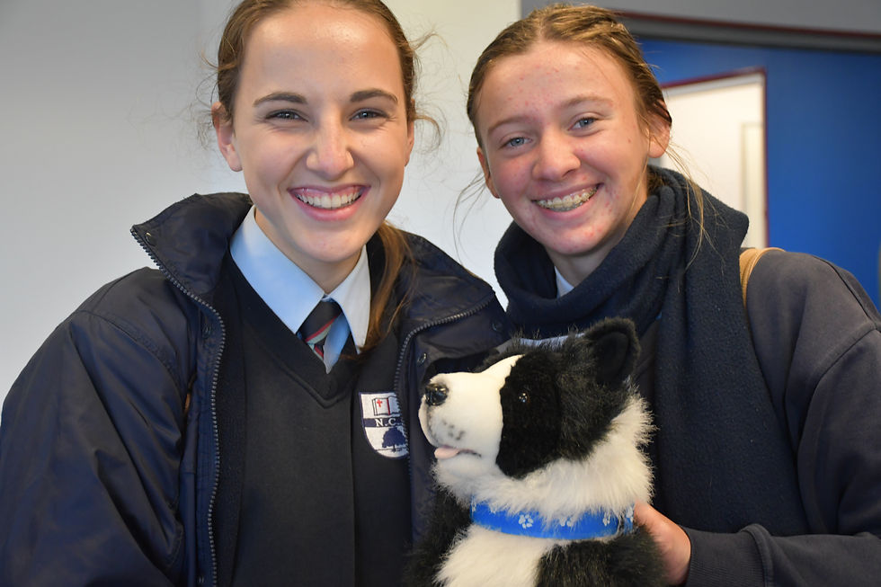 shoalhaven careers expo