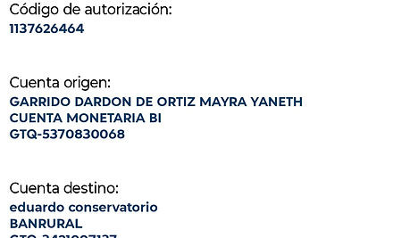 Ejemplo Boleta.jpg