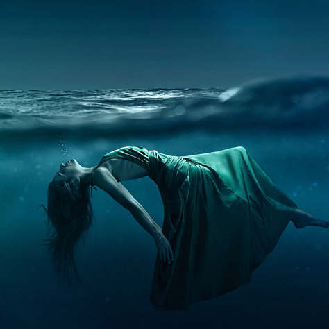 The Phoenix, An Eagle, A Scorpion And it's Lover