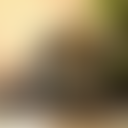 The Animal Empath Within