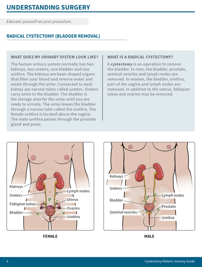 Screen Shot 2023-07-21 at 12.14.27 AM.png