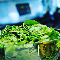 Veggies are just as important #jordanbrand1stchef #nike1stchef #chitownprivatechef #bookmenow #chefg