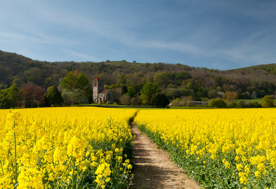 22 Little Malvern priory.jpg
