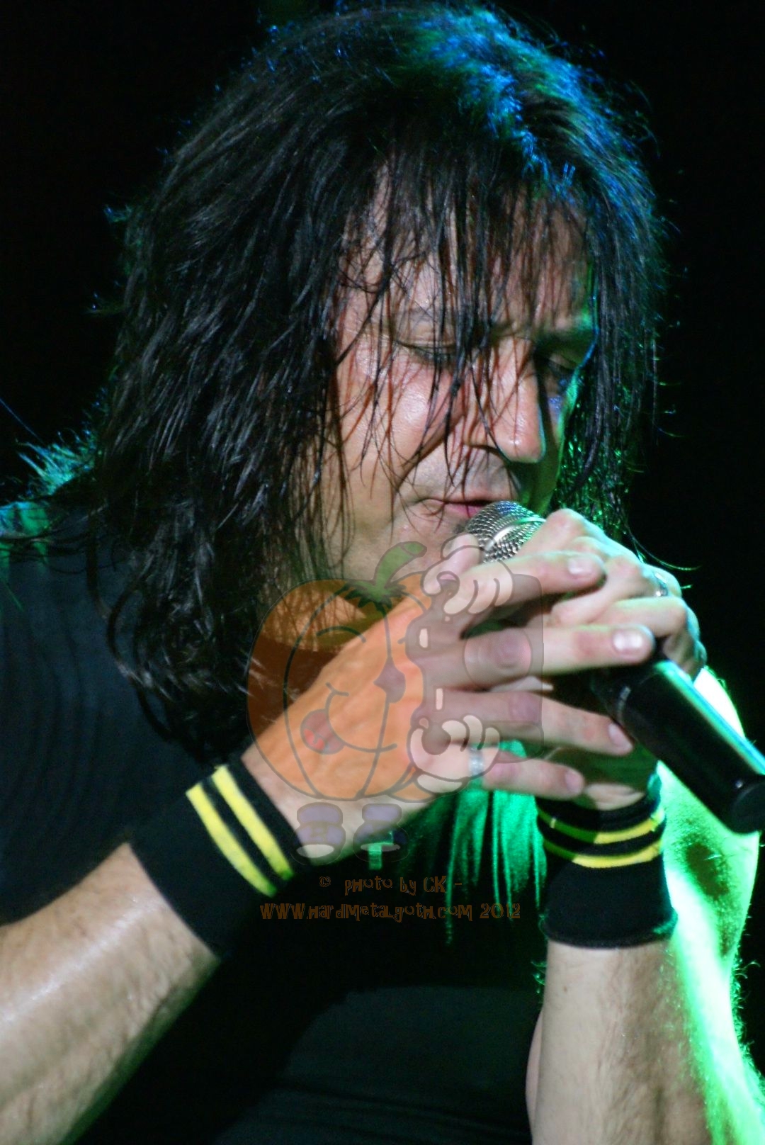 KRF_Stryper07.jpg