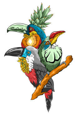 Toucan Fiesta