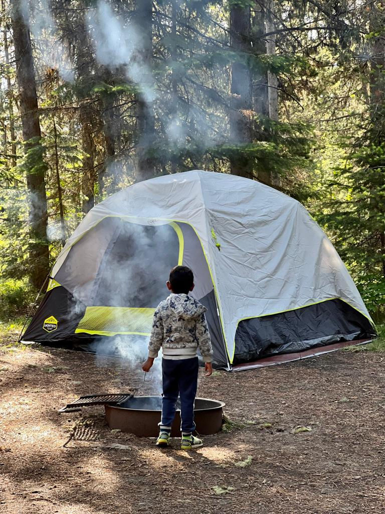 3bdee8a9-87bc-4611-a5d2-a16f59a9c41d