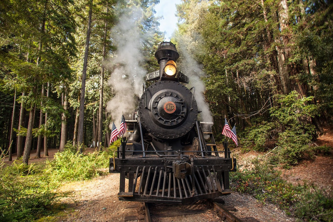 Skunk Train
