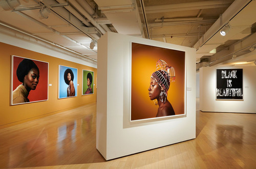 MoAD Museum of the African Diaspora Family Membership Pass | Wild Explorers