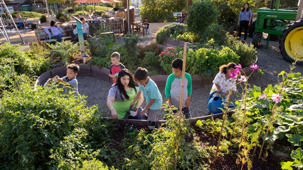Thumbnail: Children's Museum of Sonoma County