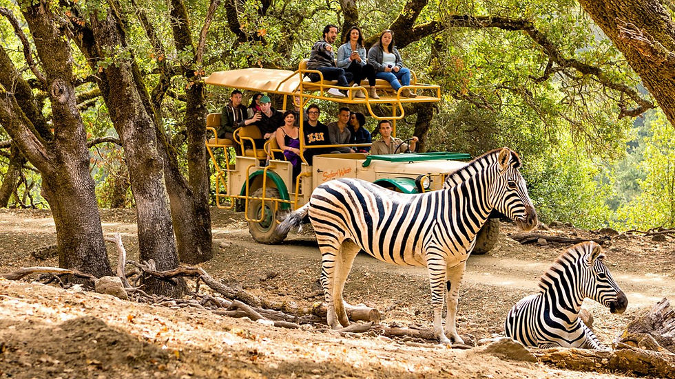 Thumbnail: Safari West