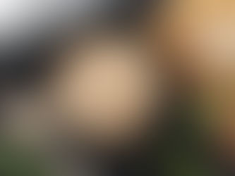 a bowl of psyllium husk