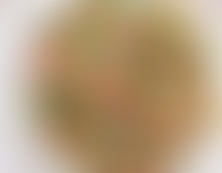 Chicken & Spinach Salad with Strawberry Rhubarb Dressing on a plate