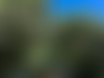 Labour Weekend Surf Report For Beginner & Intermediate Surfers 25th, 26th & 27th  October