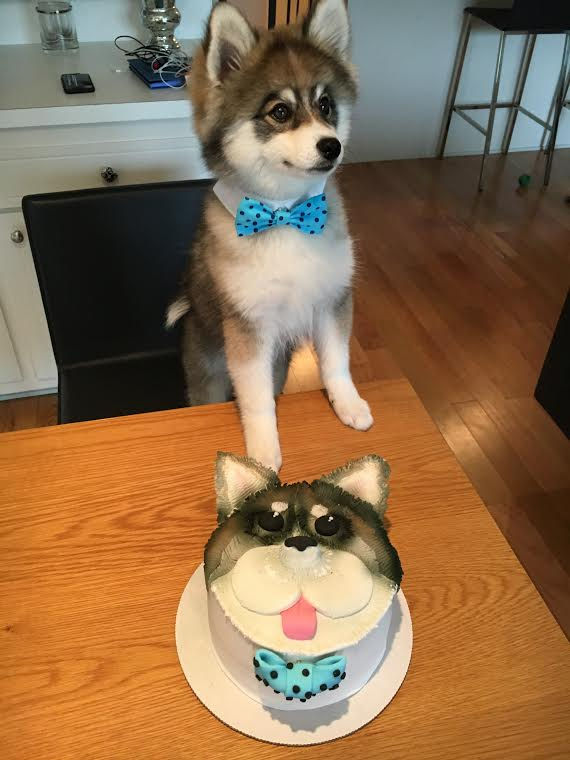 I Can Have My Cake and Eat it too...