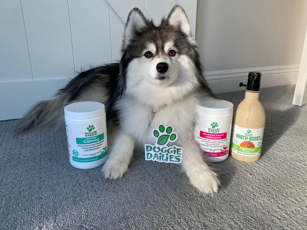 Everyday Doggie Health with Doggie Dailies!