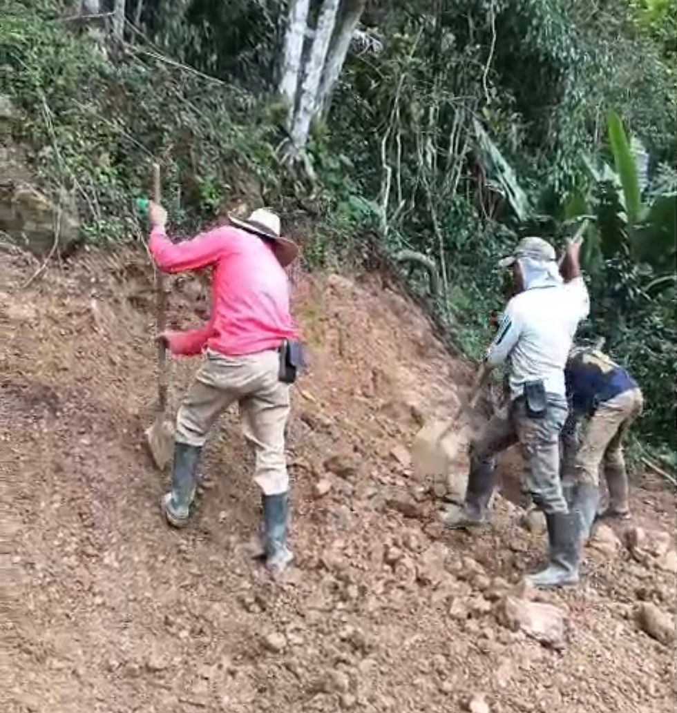 Clearing land to create road access