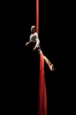 Instant in the circus show