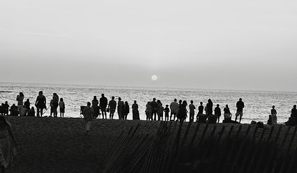 IMG_1291.jpg
