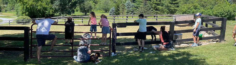 Kids at the Farm