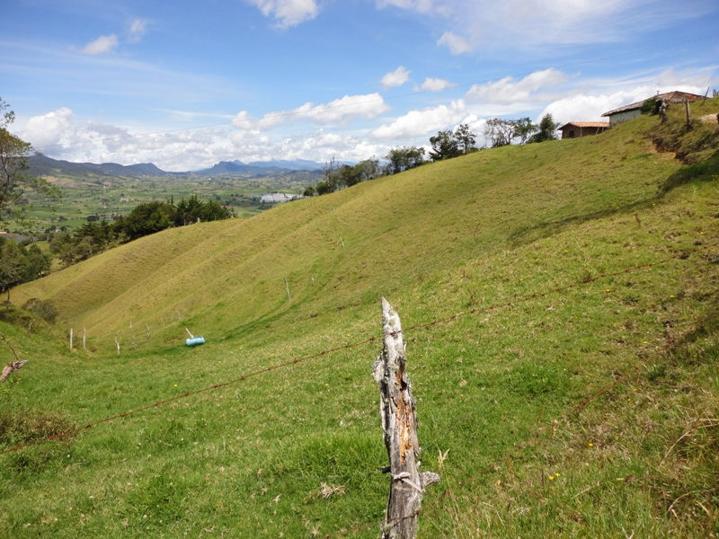 DSC04413.JPG