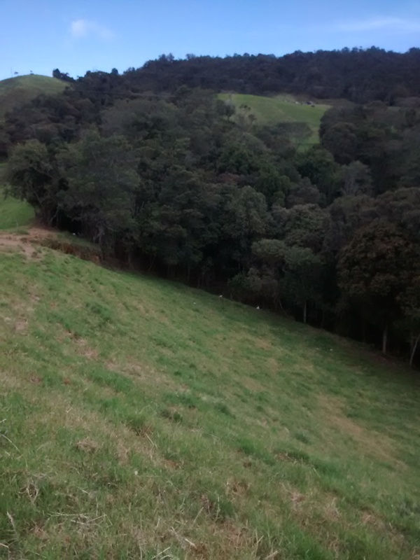 IMG_20141005_145604565.jpg