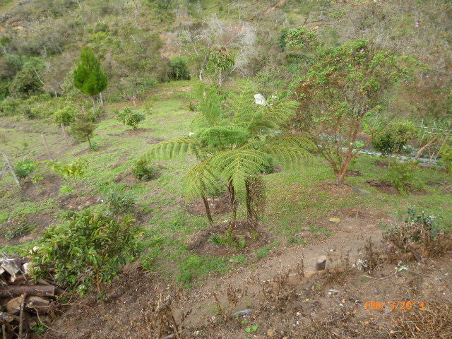 P1010930.JPG