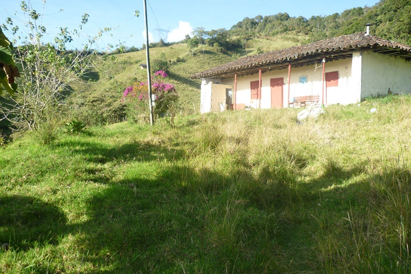 P1080420.JPG