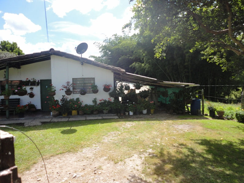 DSC04114.JPG