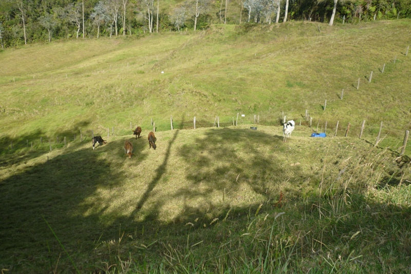 P1080466.JPG