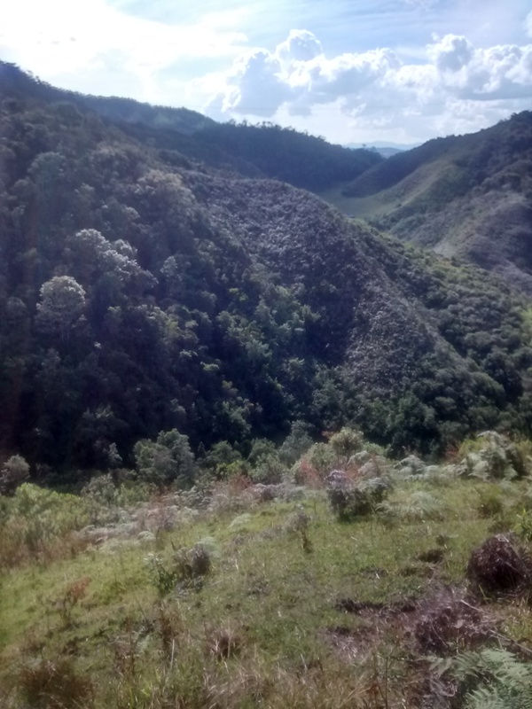 IMG_20140929_150724898_HDR.jpg