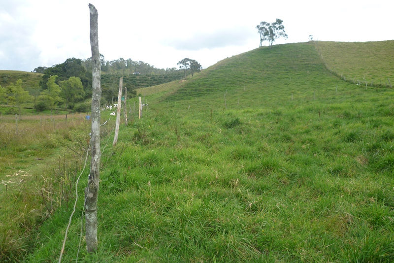 P1080340.JPG