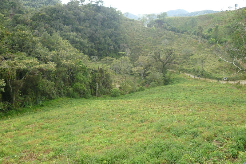 P1080336.JPG