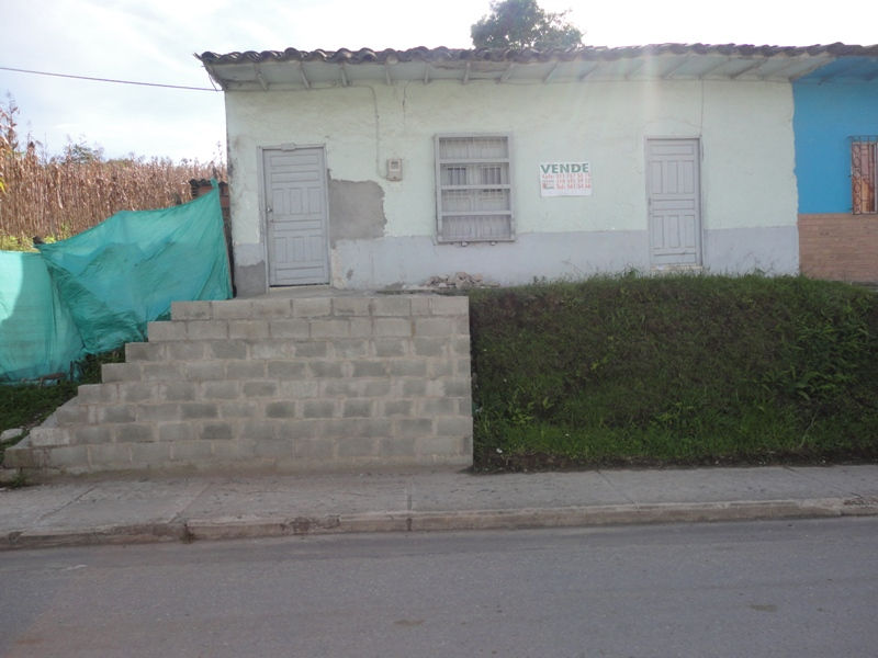 DSC03563.JPG