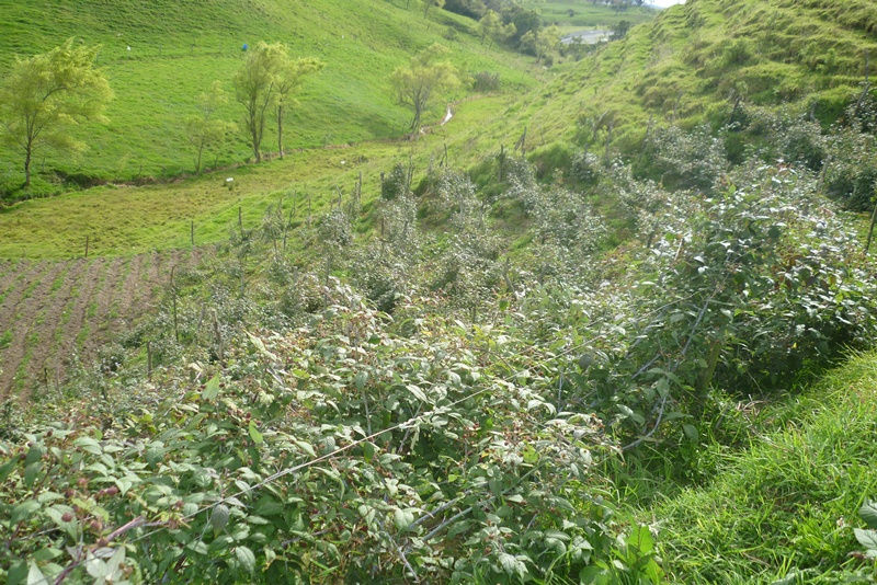 P1080356.JPG