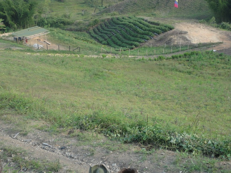 DSC03344.JPG