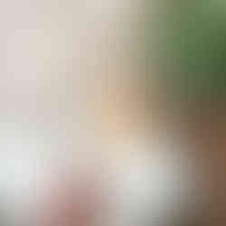 Honeycomb dripping in honey surrounded by honey bees, a coloured pencil drawing by Lucy Gray on a bookmark