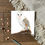 Thumbnail: Barn Owl Card