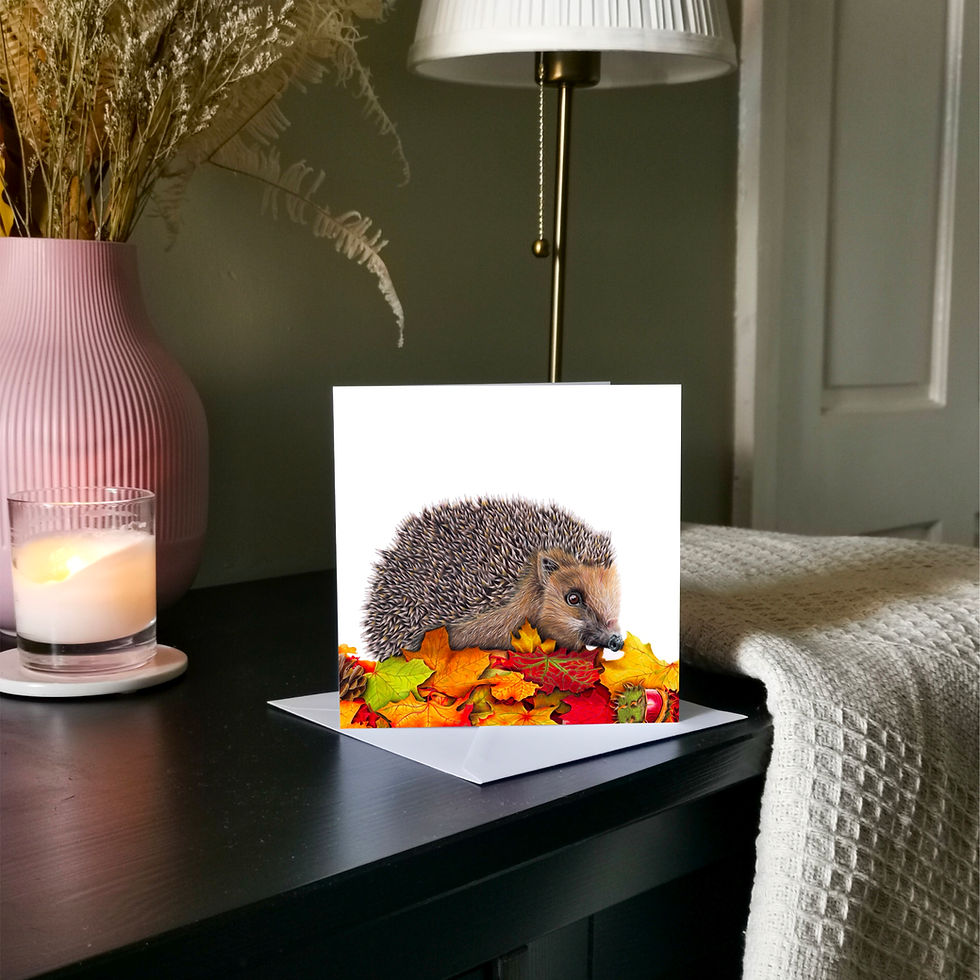 Thumbnail: Hedgehog Card