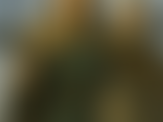 Skadi : La Déesse Nordique de l'Hiver et de la Vengeance