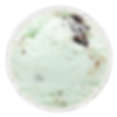 MINT CHOCOLATE CHIP