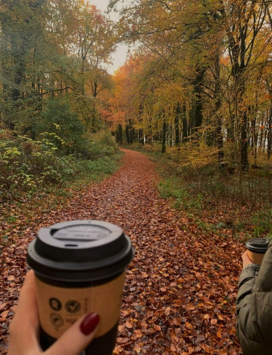 ☕ February Walk & Sip