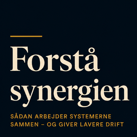 Forstå synergien