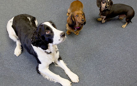 Spire office staff
