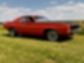 Cuda pic_edited_edited_edited.jpg